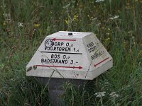 NL, Friesland, Schiermonnikoog 96, Saxifraga-Dirk Hilbers