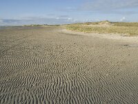 NL, Friesland, Terschelling, Noordsvaarder 18, Saxifraga-Jan van der Straaten