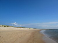 NL, Friesland, Vlieland, Strand 4, Saxifraga-Bart Vastenhouw