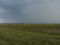 NL, Groningen, Het Hoge Land, Rottumeroog 20, Saxifraga-Mark Zekhuis