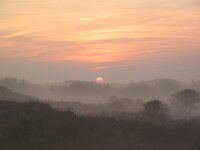 NL, Noord-Holland, Texel, De Tuintjes 8, Saxifraga-Bart Vastenhouw