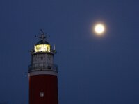NL, Noord-Holland, Texel, Vuurtoren 2, Saxifraga-Bart Vastenhouw