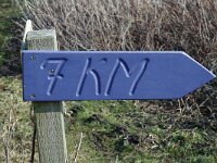 NL, Zuid-Holland, Hoeksche Waard, Tiengemeten 7, Saxifraga-Jan van der Straaten