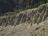 CH, Wallis, Saas Fee, Feegletscher 107, Saxifraga-Willem van Kruijsbergen