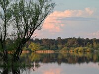 NL, Noord-Brabant, Valkenswaard, Greveschutven in Landgoed Valkenhorst 9, Saxifraga-Tom Heijnen