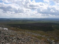 FIN, Lapland, Utsjoki, Kevo 1, Saxifraga-Dirk Hilbers