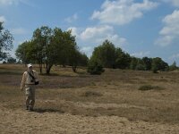 D, Niedersachsen, Schneverdingen, Wulfsberg 3, Saxifraga-Marijke Verhagen
