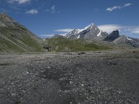 CH, Wallis, Leukerbad, Lammerenboden 16, Saxifraga-Willem van Kruijsbergen