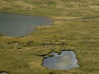 I, Valle d Aosta, La Thuile, Col du Petit Saint Bernard 5, Saxifraga-Jan van der Straaten