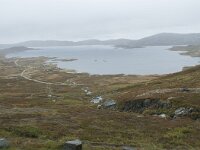 N, Innlandet, Oystre Slidre, Bygdin 10, Saxifraga-Annemiek Bouwman