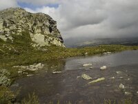 N, Innlandet, Sel, Klufttjonne 1, Saxifraga-Willem van Kruijsbergen