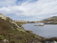 N, Innlandet, Sel, Klufttjonne 15, Saxifraga-Willem van Kruijsbergen