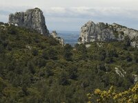 F, Bouches-du-Rhone, Saint Remy-de-Provence, Caume 19, Saxifraga-Marijke Verhagen