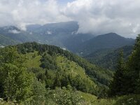 F, Isere, Gresse-en-Vercors, Col de l Aupet 22, Saxifraga-Willem van Kruijsbergen