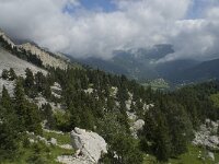 F, Isere, Gresse-en-Vercors, Col de l Aupet 25, Saxifraga-Willem van Kruijsbergen