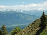 F, Isere, Gresse-en-Vercors, Devoluy 1, Saxifraga-Willem van Kruijsbergen