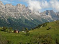F, Isere, Gresse-en-Vercors, Les Deux 2, Saxifraga-Willem van Kruijsbergen