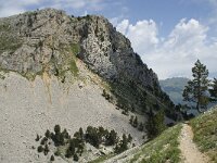 F, Isere, Gresse-en-Vercors, Rochers du Parquet 2, Saxifraga-Willem van Kruijsbergen