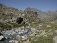 I, Sondrio, Lanzada, Valle Poschiavina 15, Saxifraga-Willem van Kruijsbergen