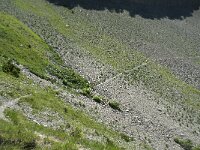 I, Sued Tirol, Sankt Ulrich, Balest 17, Saxifraga-Annemiek Bouwman