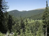 I, Sued Tirol, Sankt Ulrich, Seceda 13, Saxifraga-Willem van Kruijsbergen