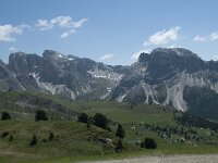 I, Sued Tirol, Sankt Ulrich, Seceda 24, Saxifraga-Annemiek Bouwman