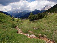 I, Sued-Tirol, Wolkenstein, Pordoi Pass 3, Saxifraga-Hans Dekker