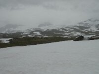 N, Innlandet, Lom, Boverbrean 2, Saxifraga-Willem van Kruijsbergen