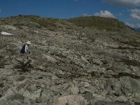 N, Innlandet, Lom, Sognefjellet 14, Saxifraga-Jan van der Straaten