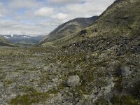 N, Innlandet, Lom, Storebreen 12, Saxifraga-Willem van Kruijsbergen