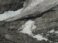 N, Innlandet, Lom, Storebreen 19, Saxifraga-Willem van Kruijsbergen