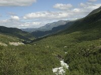 N, Innlandet, Lom, Vegaskjelet 1, Saxifraga-Willem van Kruijsbergen