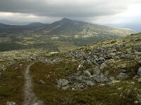 N, Innlandet, Sel, Karihaugen 3, Saxifraga-Willem van Kruijsbergen