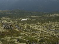 N, Innlandet, Sel, Karihaugen 7, Saxifraga-Willem van Kruijsbergen