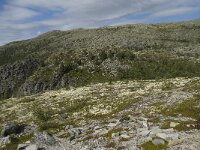 N, Innlandet, Sel, Kluftaathaugen 1, Saxifraga-Willem van Kruijsbergen