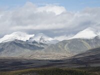 N, Innlandet, Sel, Mysuseter 67, Saxifraga-Willem van Kruijsbergen