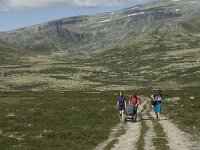 N, Innlandet, Sel, Peer Gynt Hytta 14, Saxifraga-Jan van der Straaten