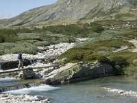 N, Innlandet, Sel, Peer Gynt Hytta 18, Saxifraga-Jan van der Straaten