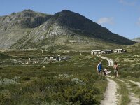 N, Innlandet, Sel, Peer Gynt Hytta 20, Saxifraga-Jan van der Straaten