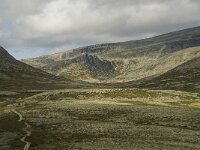 N, Innlandet, Sel, Peer Gynt Hytta 46, Saxifraga-Willem van Kruijsbergen
