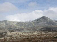 N, Innlandet, Sel, Peer Gynt Hytta 76, Saxifraga-Willem van Kruijsbergen