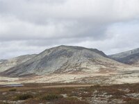 N, Innlandet, Sel, Peer Gynt Hytta 78, Saxifraga-Willem van Kruijsbergen