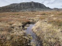 N, Innlandet, Sel, Peer Gynt Hytta 93, Saxifraga-Willem van Kruijsbergen