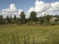 N, Innlandet, Sel, Raphamn 1, Saxifraga-Willem van Kruijsbergen