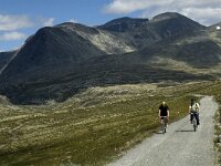 N, Innlandet, Sel, Rondvassbu 15, Saxifraga-Jan van der Straaten