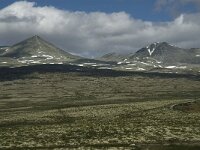 N, Innlandet, Sel, Rondvassbu 3, Saxifraga-Jan van der Straaten