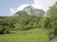 E, Cantabria, Camaleno, Brez 23, Saxifraga-Willem van Kruijsbergen