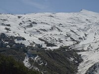 E, Granada, Monachil, Pradollano 1, Saxifraga-Jan van der Straaten