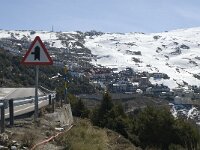 E, Granada, Monachil, Pradollano 2, Saxifraga-Jan van der Straaten