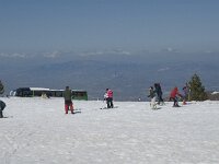 E, Granada, Monachil, Pradollano 23, Saxifraga-Jan van der Straaten